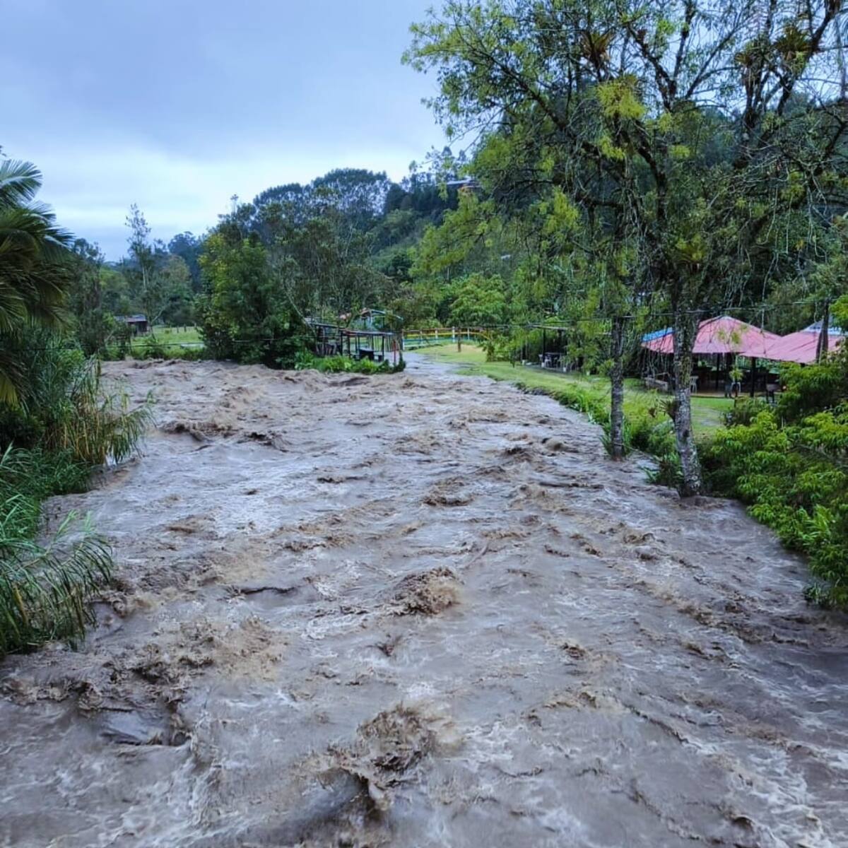 Jueves 19 de marzo, las noticias más importantes de Armenia y Quindío