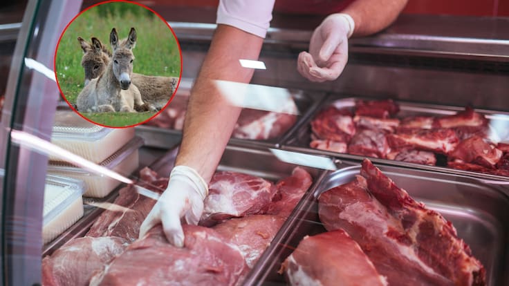 Julio Cittadini, productor rural que defendió la comercialización de carne de burro.