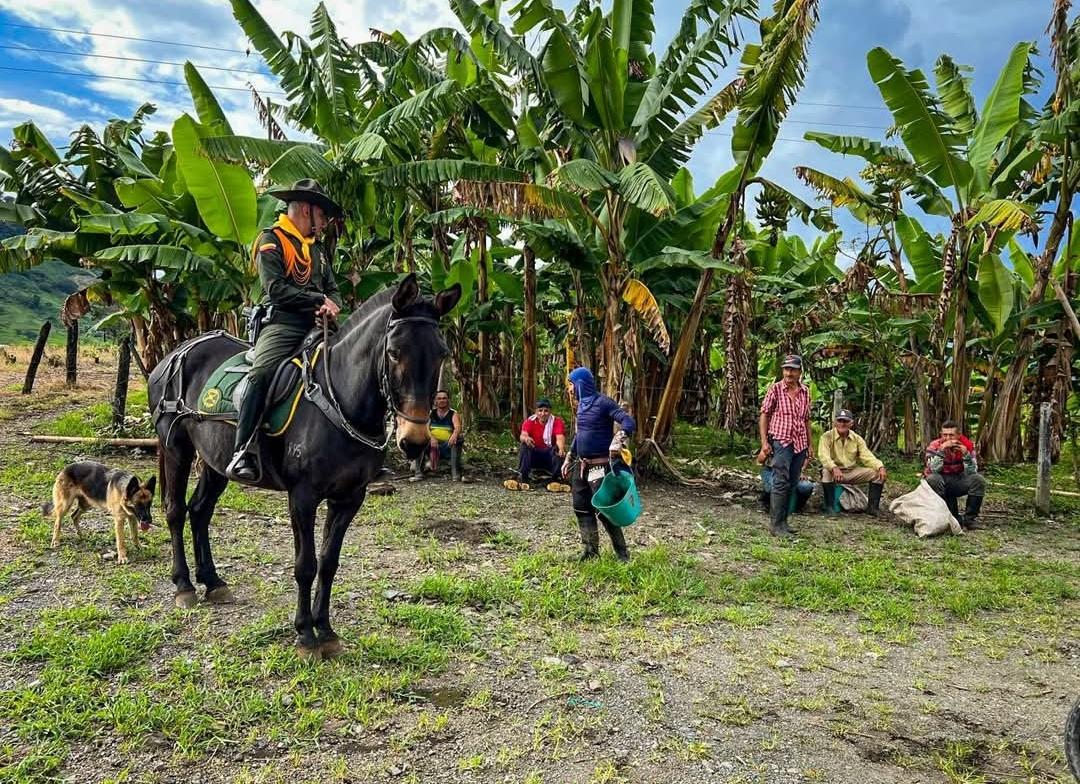 Patrullajes a caballo para garantizar la seguridad en el departamento. // Policía de Bolívar