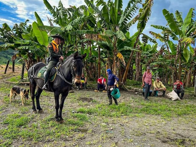 Patrullajes a caballo para garantizar la seguridad en el departamento. // Policía de Bolívar