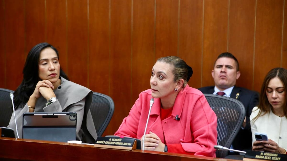 Directora del ICBF explicó su definición de familia tras polémica en el Senado