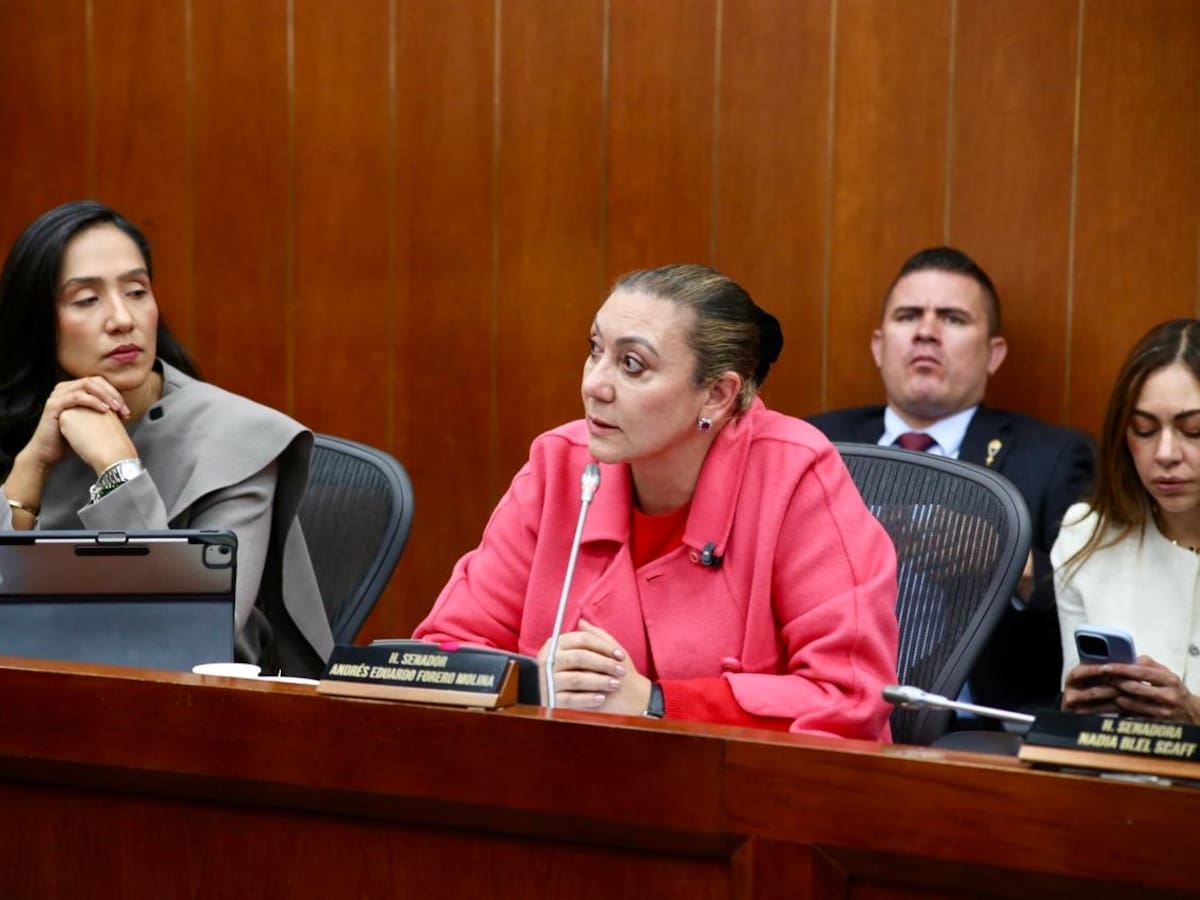 Directora del ICBF explicó su definición de familia tras polémica en el Senado