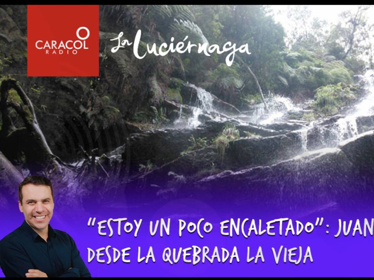 “Estoy un poco encaletado”: Juan Ego Alvira desde la quebrada La Vieja