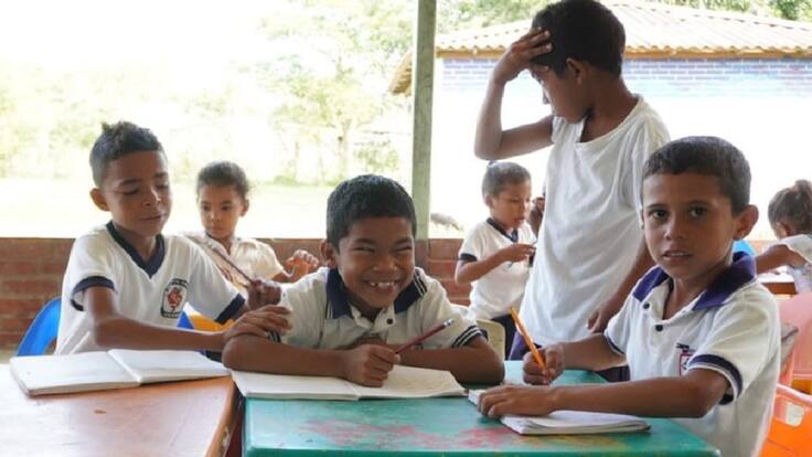 Faltan recursos para la educación remota: Daniel Cassany