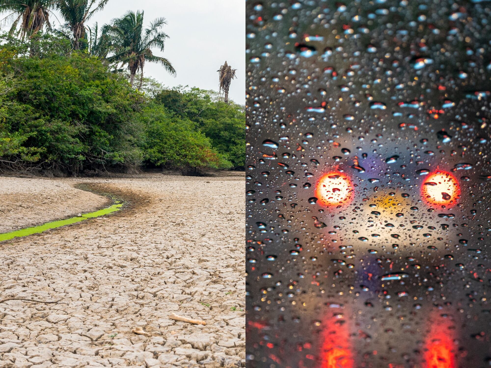 Sequía y lluvia, imágenes de referencia. Fotos: Getty Images.