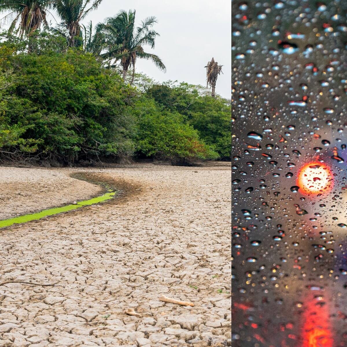 ¿El Fenómeno de El Niño es lluvia o sequía? Así es la alteración de patrones climáticos en Colombia