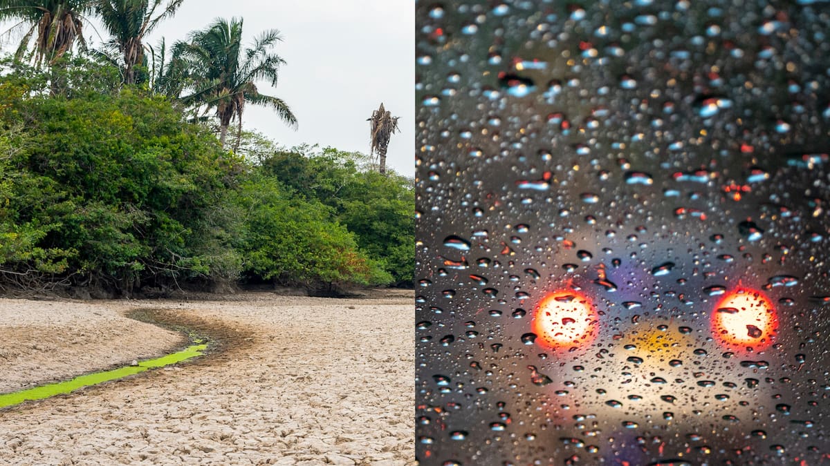 ¿El Fenómeno de El Niño es lluvia o sequía? Así es la alteración de patrones climáticos en Colombia