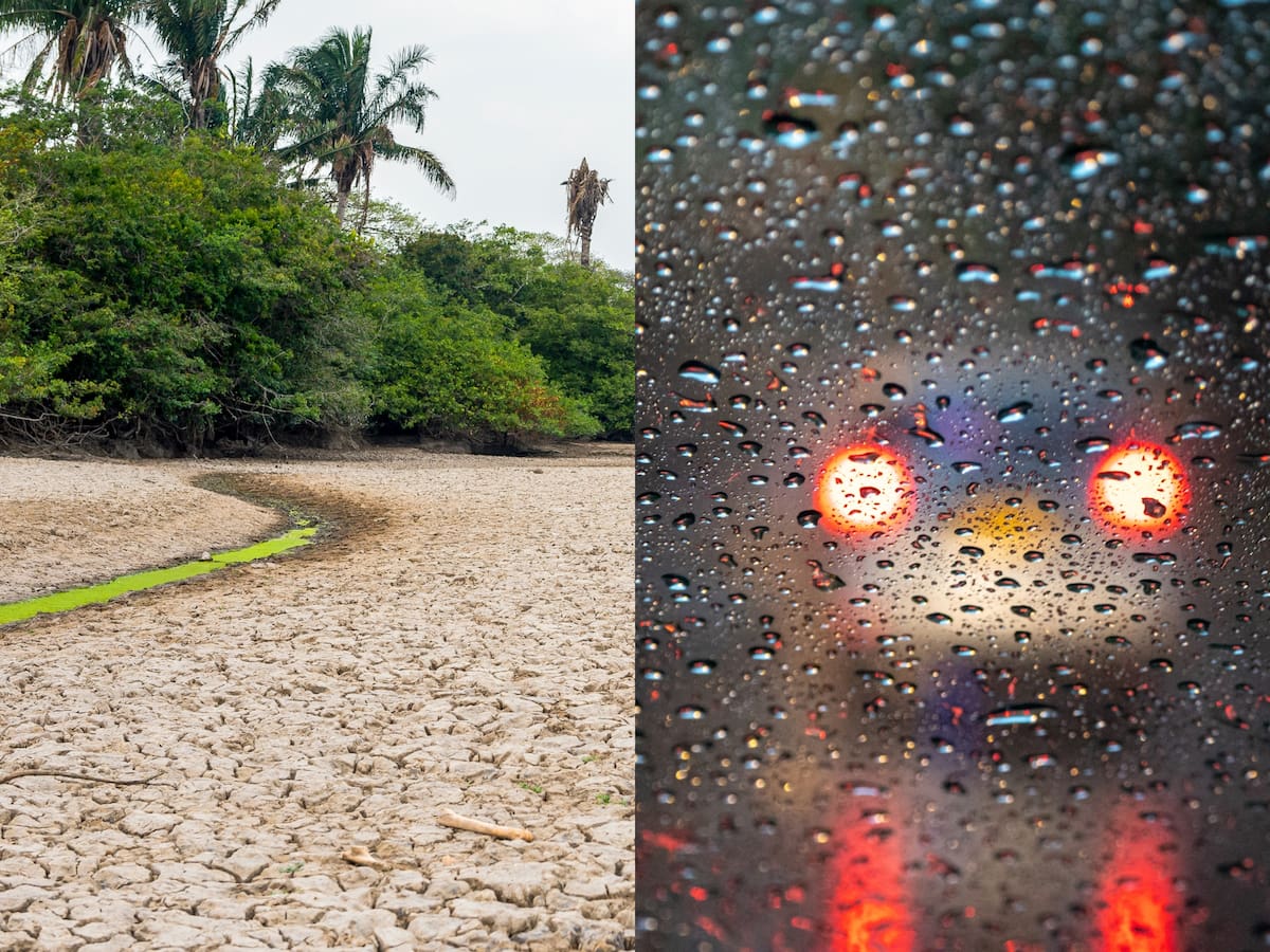 ¿El Fenómeno de El Niño es lluvia o sequía? Así es la alteración de patrones climáticos en Colombia