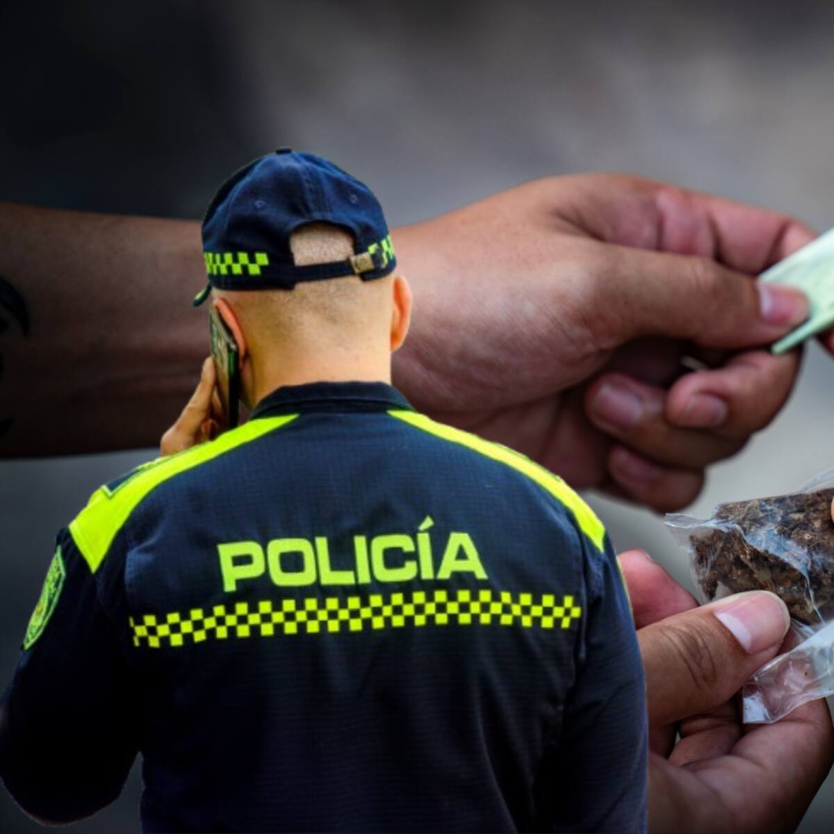 Duro golpe contra el narcotráfico en Cundinamarca: cayeron más de 16 mil dosis de estupefacientes