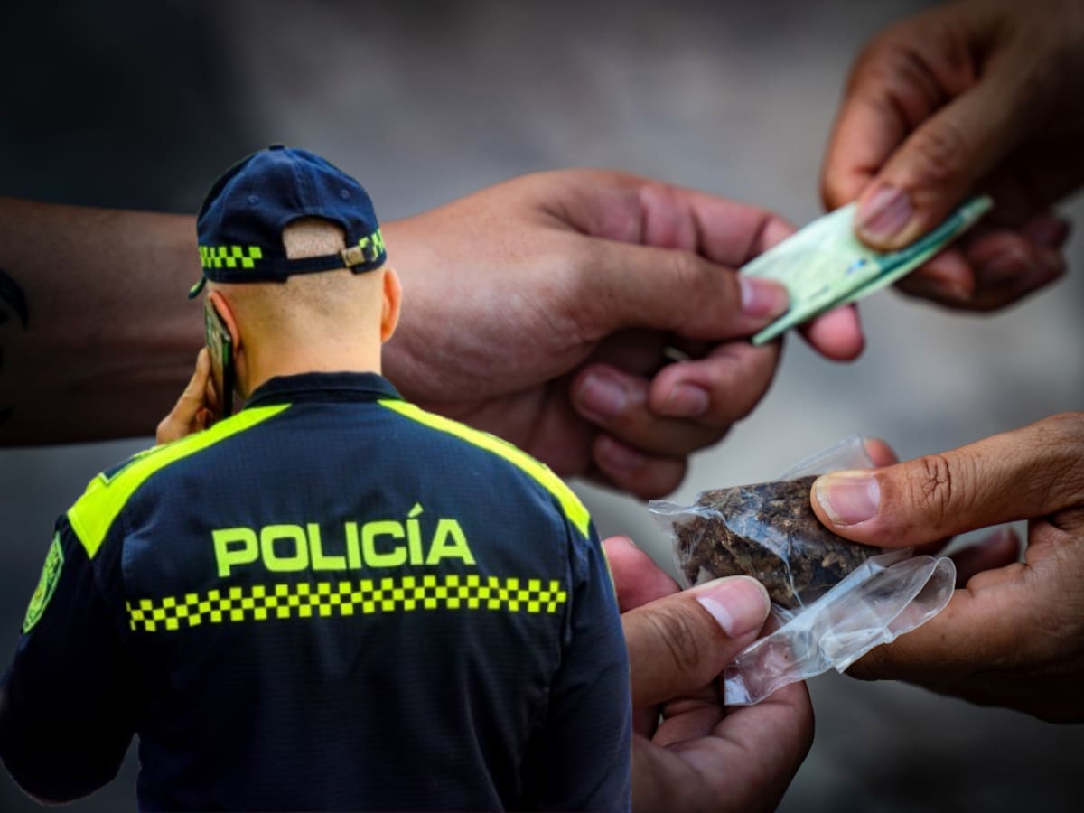 Duro golpe contra el narcotráfico en Cundinamarca: cayeron más de 16 mil dosis de estupefacientes