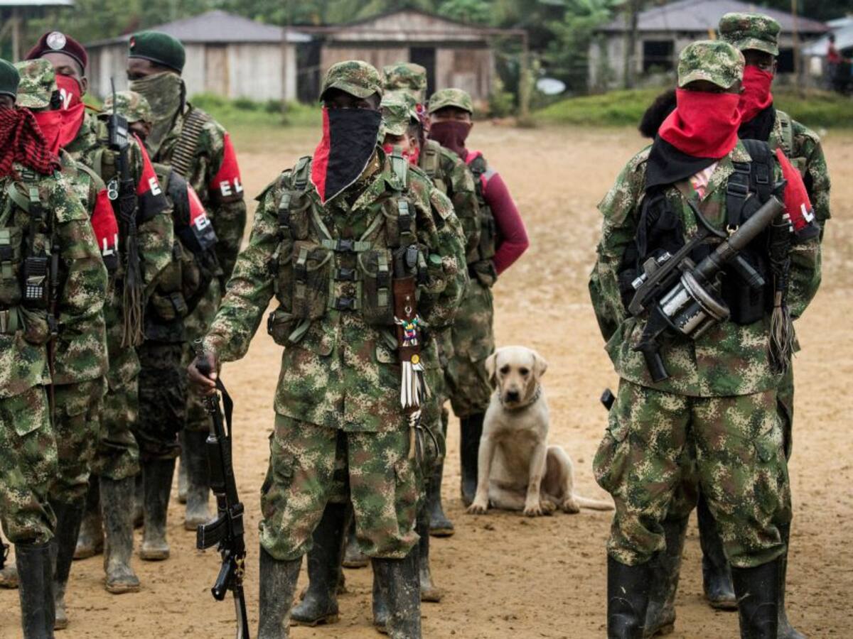 Ariel Ávila: Tregua del ELN difícilmente reactivará los diálogos