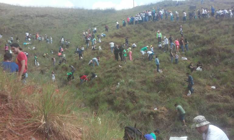 Jornada de siembra de árboles en Cristo Rey.