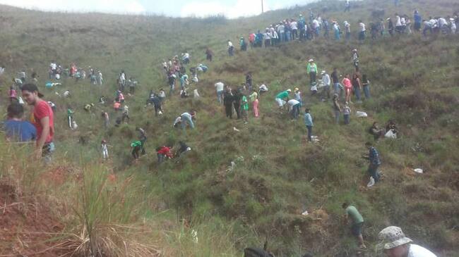 Jornada de siembra de árboles en Cristo Rey.