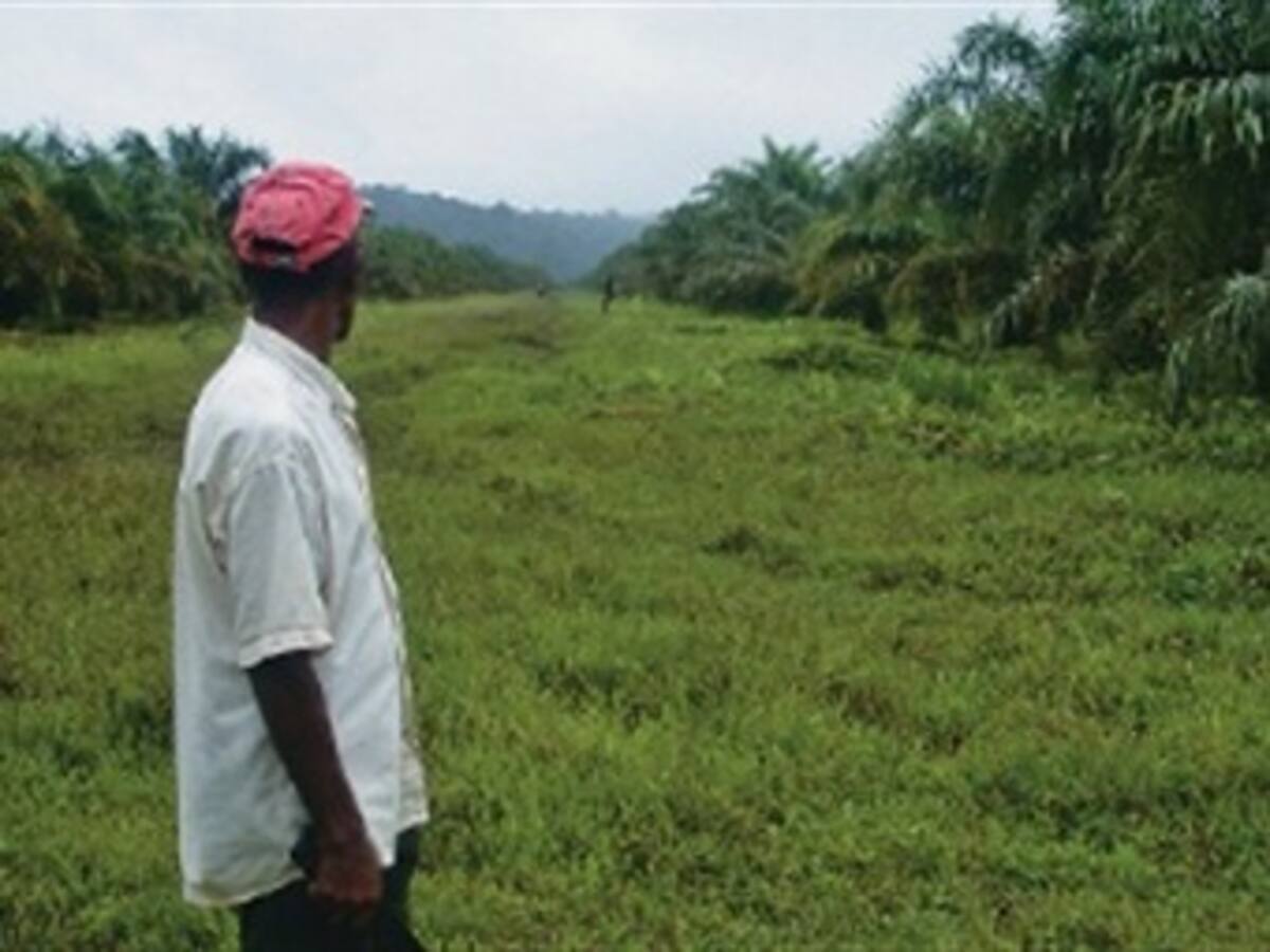 Defensores de derechos humanos cuestionan esquema de seguridad para reclamantes de tierras