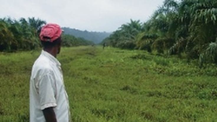 Defensores de derechos humanos cuestionan esquema de seguridad para reclamantes de tierras