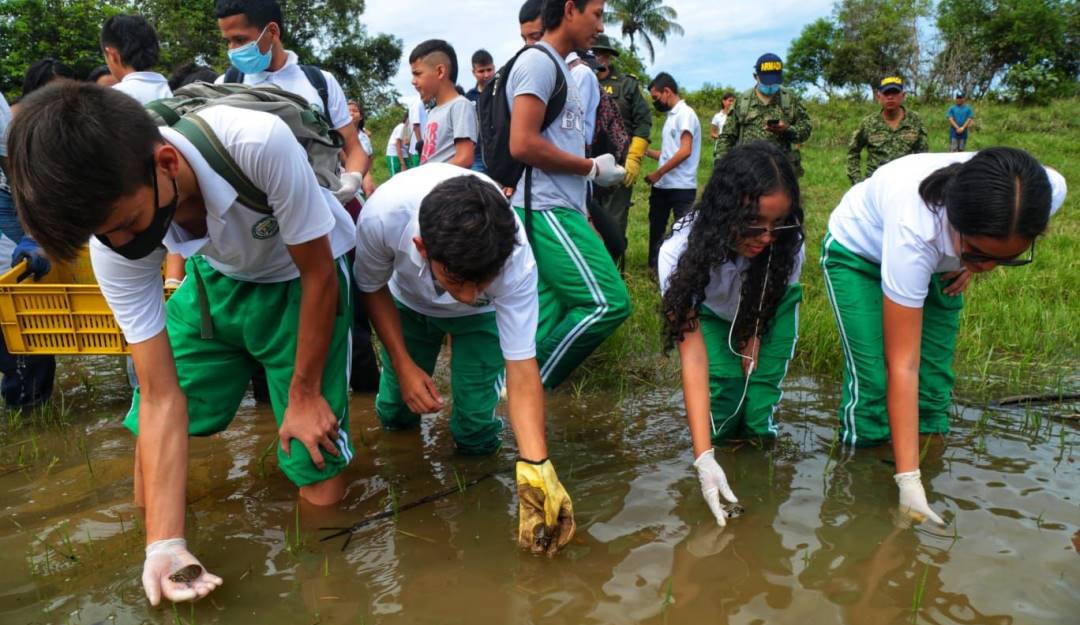 Proyectos de educación ambiental. Foto: Asocars
