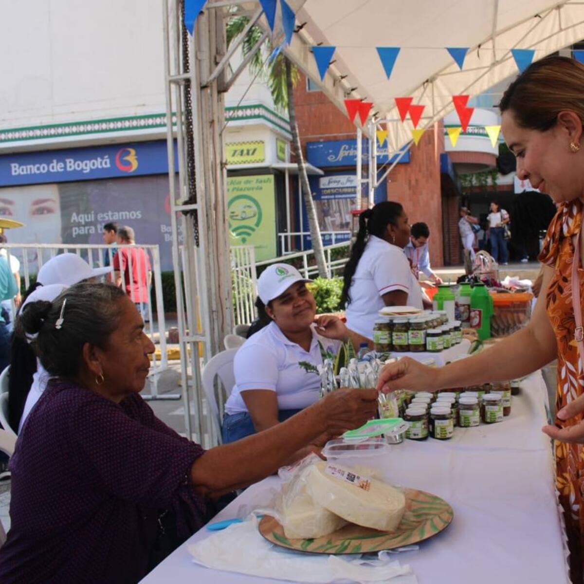 SENA Bolívar realiza encuentro de Economía Popular y Campesina en Magangué