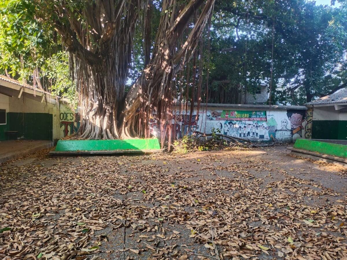 Rector del colegio INEM pide intervención por grave deterioro de infraestructura física