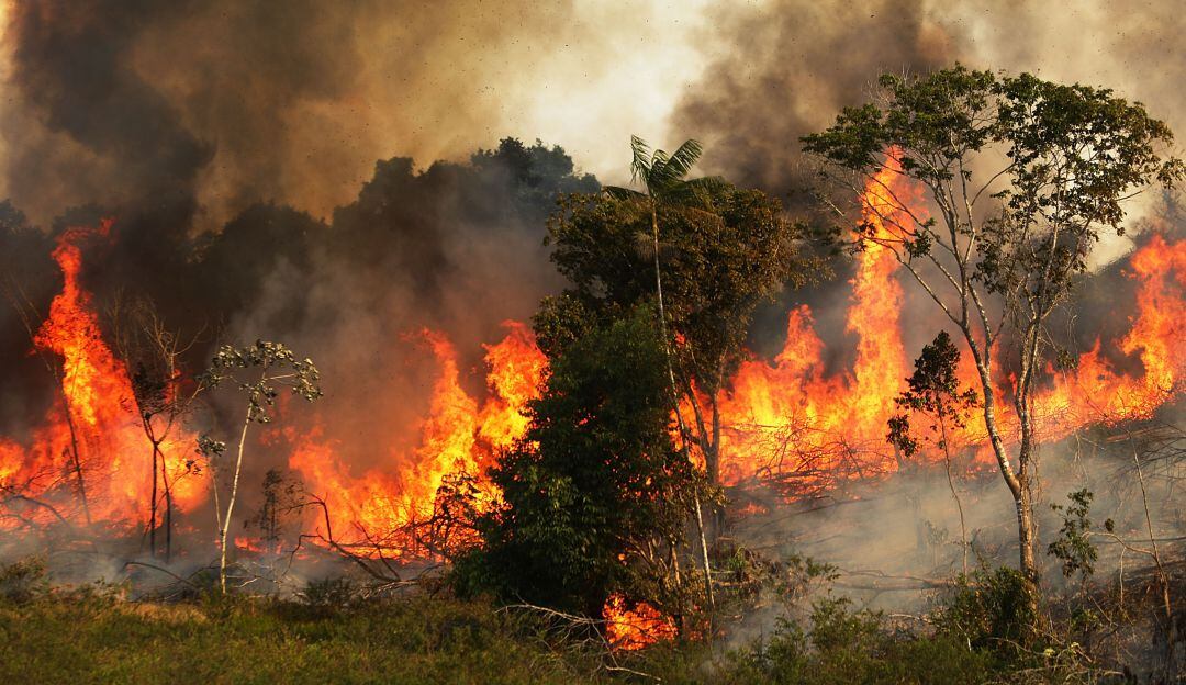 Incendios en la amazonía del Brasil