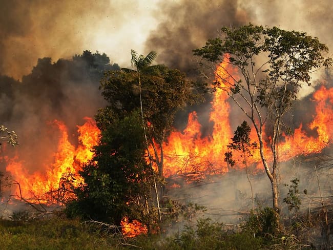 Incendios en la amazonía del Brasil