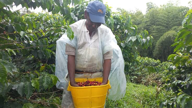 Ministra de Agricultura y Desarrollo Rural, Jhenifer Mojica
