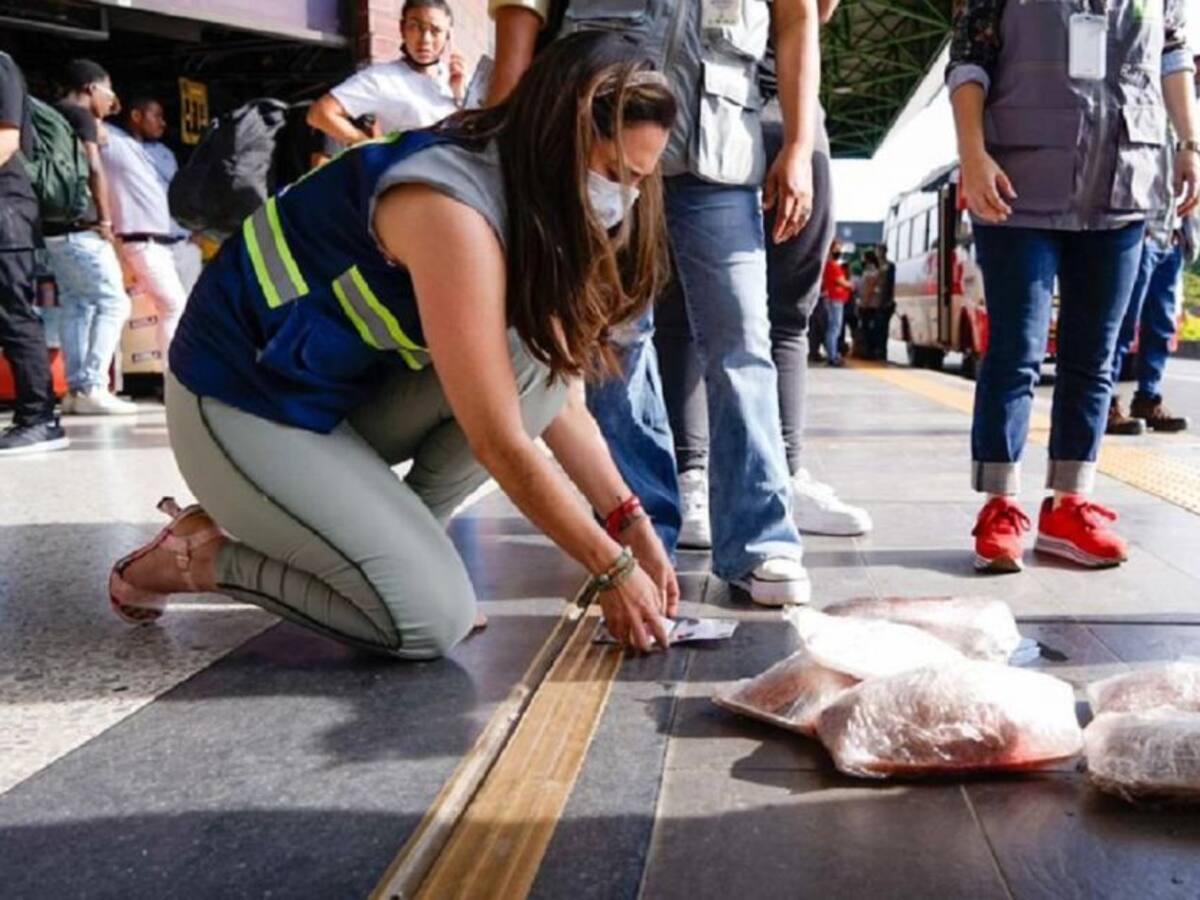 En Medellín ya incautaron carne de animales silvestres lista para la venta