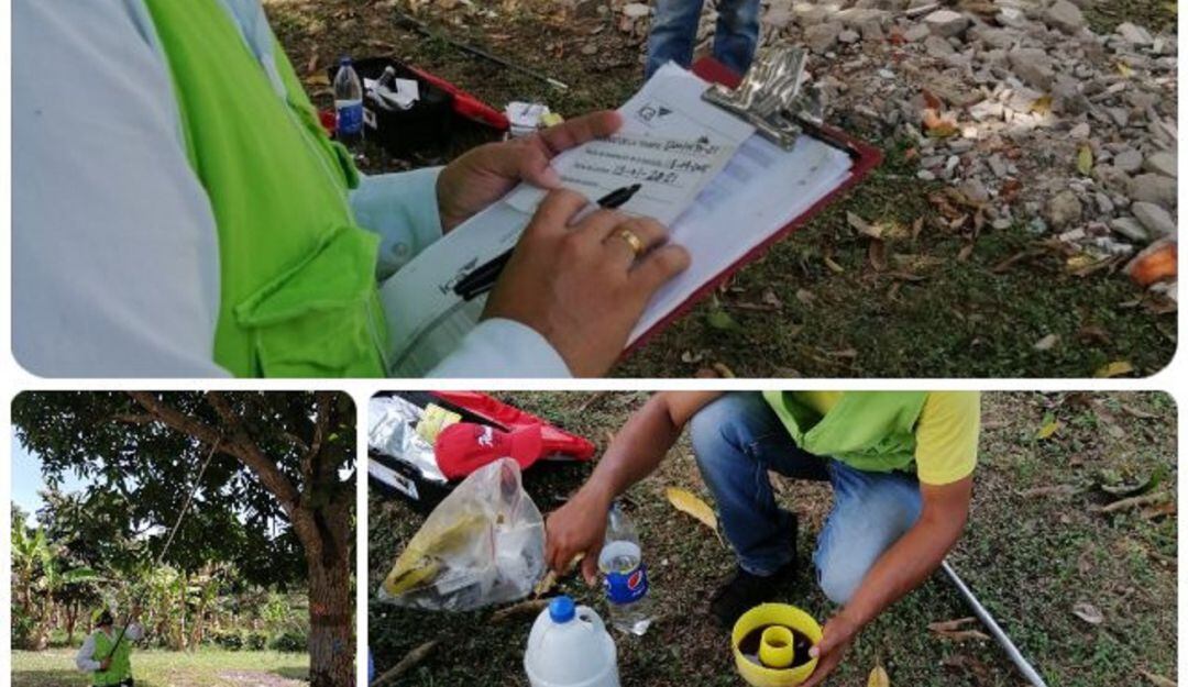 Los monitoreos se realizan semanalmente