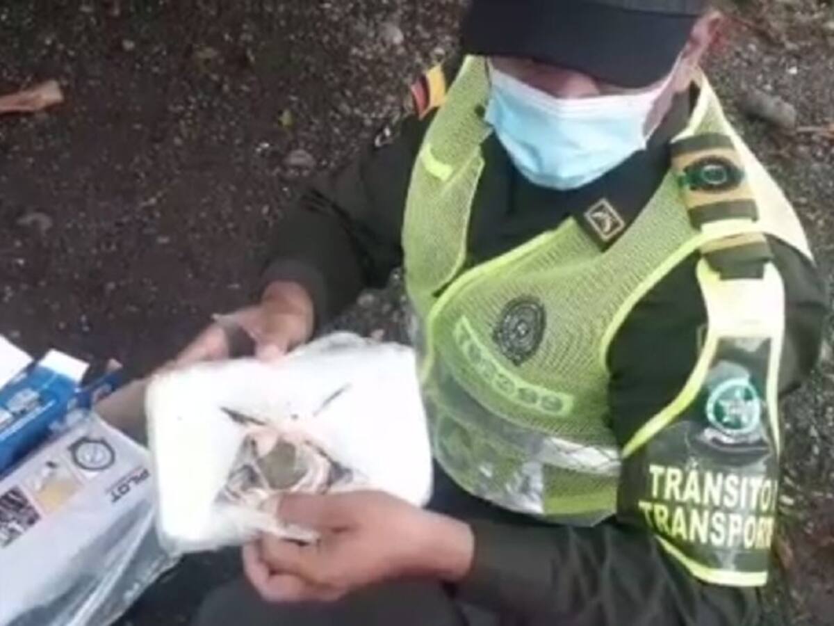 Nuevo decomiso de droga en las carreteras del oriente caldense