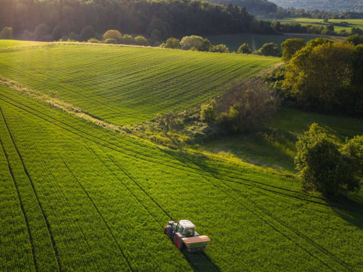 Cómo hacer más sostenible la agricultura; metas para el año 2030