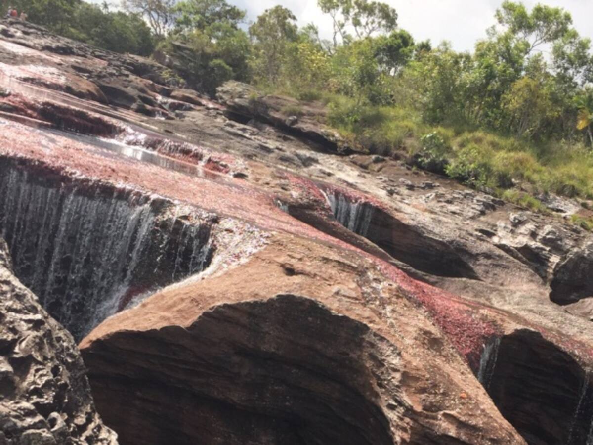 En Colombia hay seguridad jurídica, quitar licencias ambientales no es la norma: Santos a empresarios