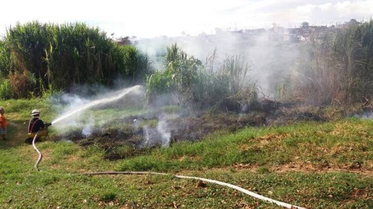 Incendios forestales en Armenia disparados por falta de cultura ciudadana