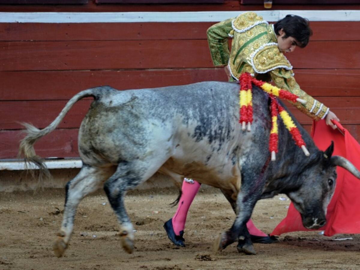 Distrito y MinHacienda buscan acuerdo para una consulta popular taurina