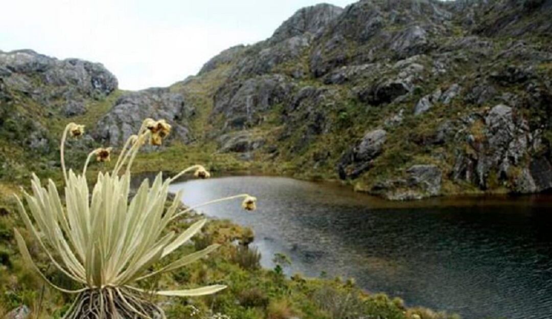 Páramo de Santurbán