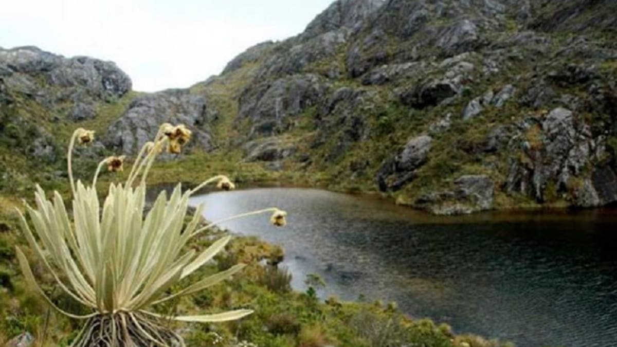 Norte de Santander alista concertación para delimitar Páramo de Santurbán
