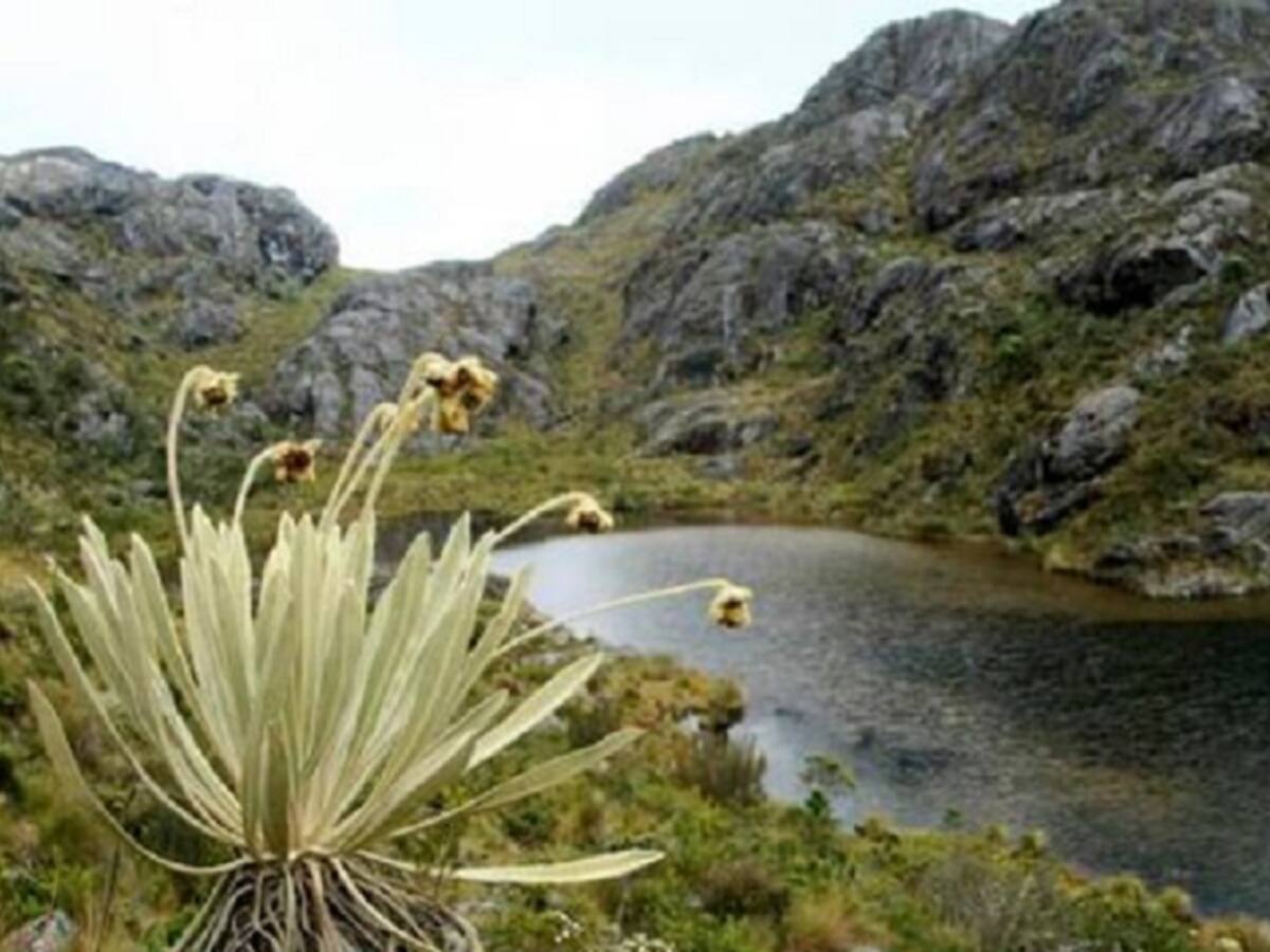Norte de Santander alista concertación para delimitar Páramo de Santurbán