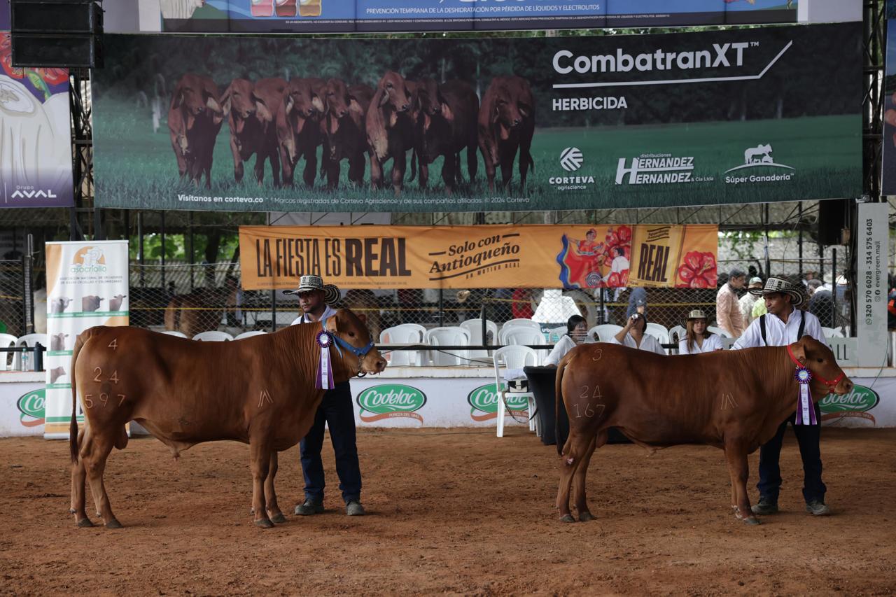 Feria Nacional de la Ganadería en Montería.
