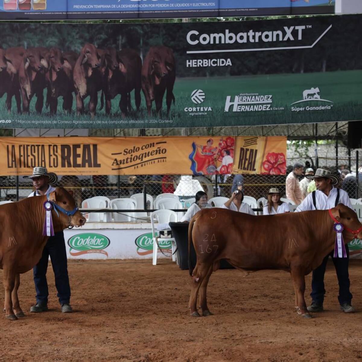 Gobernador Erasmo Zuleta confirma la fecha oficial para la Feria Nacional de la Ganadería 2026