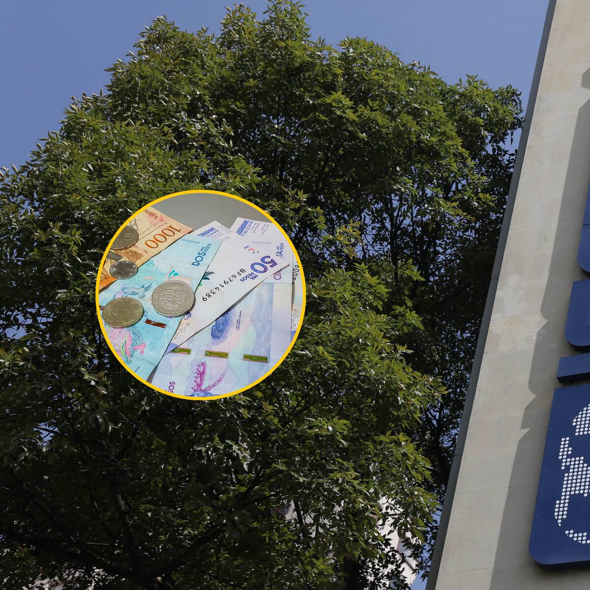 Petro debe responderle a los estudiantes por lo prometido en campaña y las ayudas del Icetex: ACREES