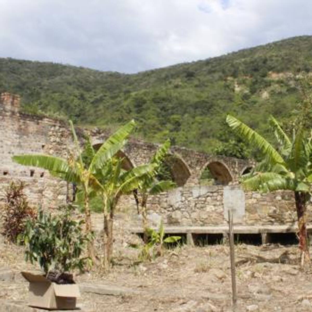 En Norte de Santander piden que se reanude funciones de los exparamilitares como gestores de paz