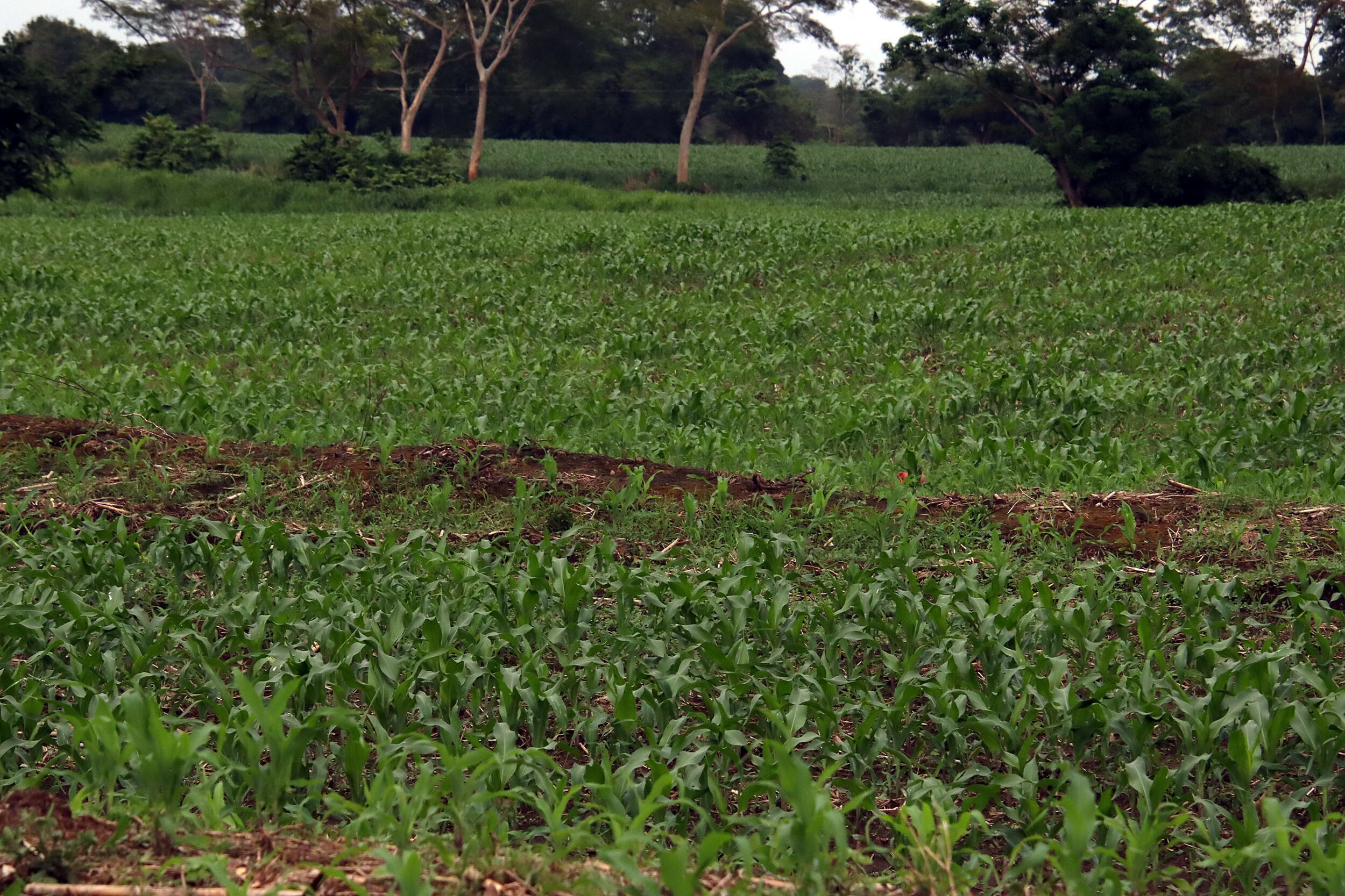  EFE/ Juan Manuel Blanco