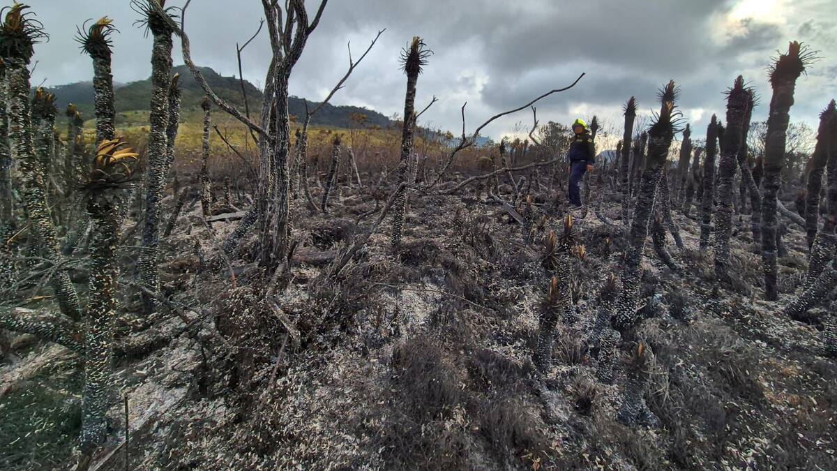 Bomberos de Manizales controlaron Incendio de cobertura vegetal en el Páramo de Letras
