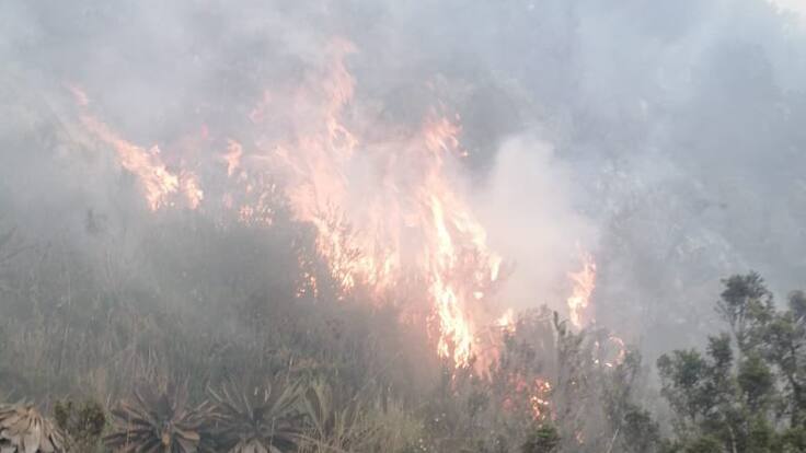 FREDDY-VILLAMIZAR-BOMBEROS-EL-CERRITO