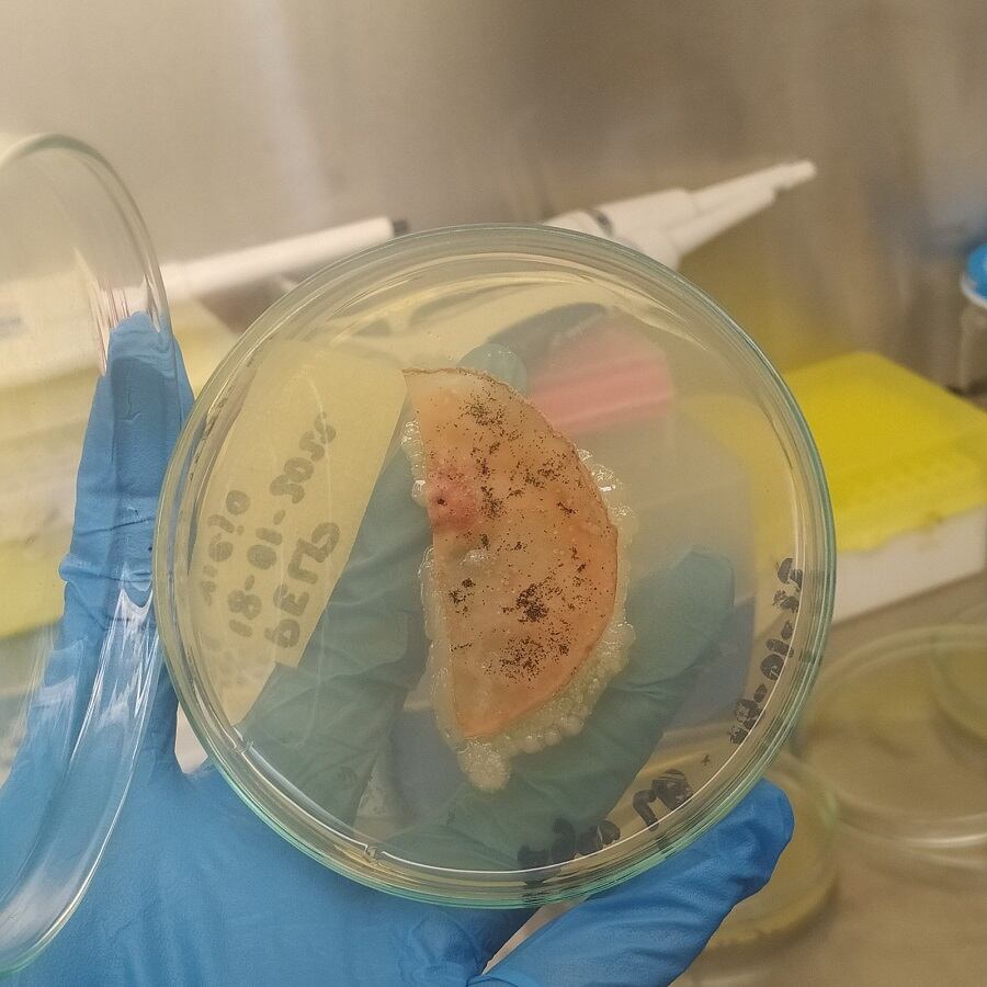 Universidad Tecnológica de Bolívar