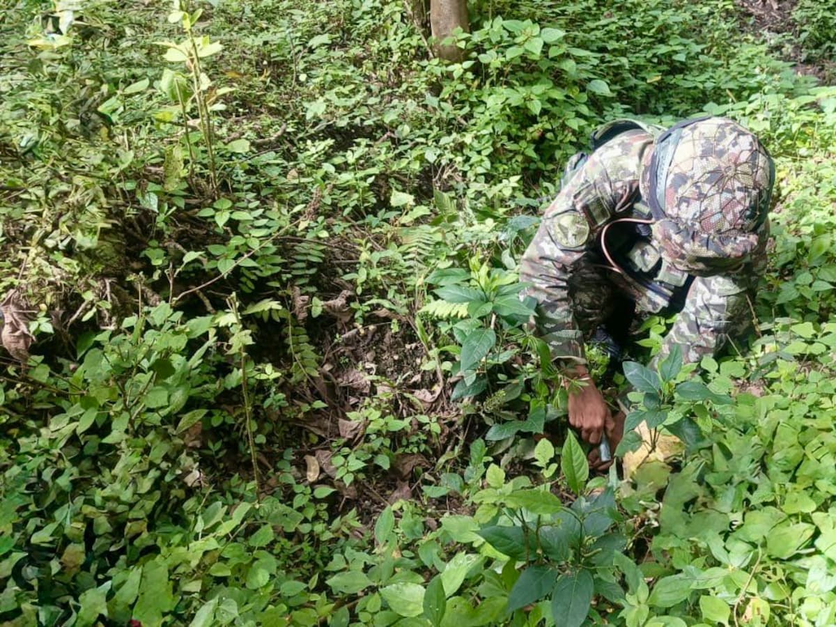 Frustran ataques terroristas en el sur y oriente del Cauca con la destrucción de explosivos