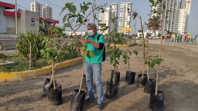 Medio ambiente