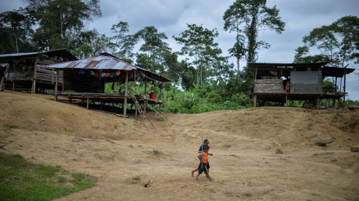 Corte alerta por crisis humanitaria de la niñez indígena en departamento del Vichada: no hay ni agua