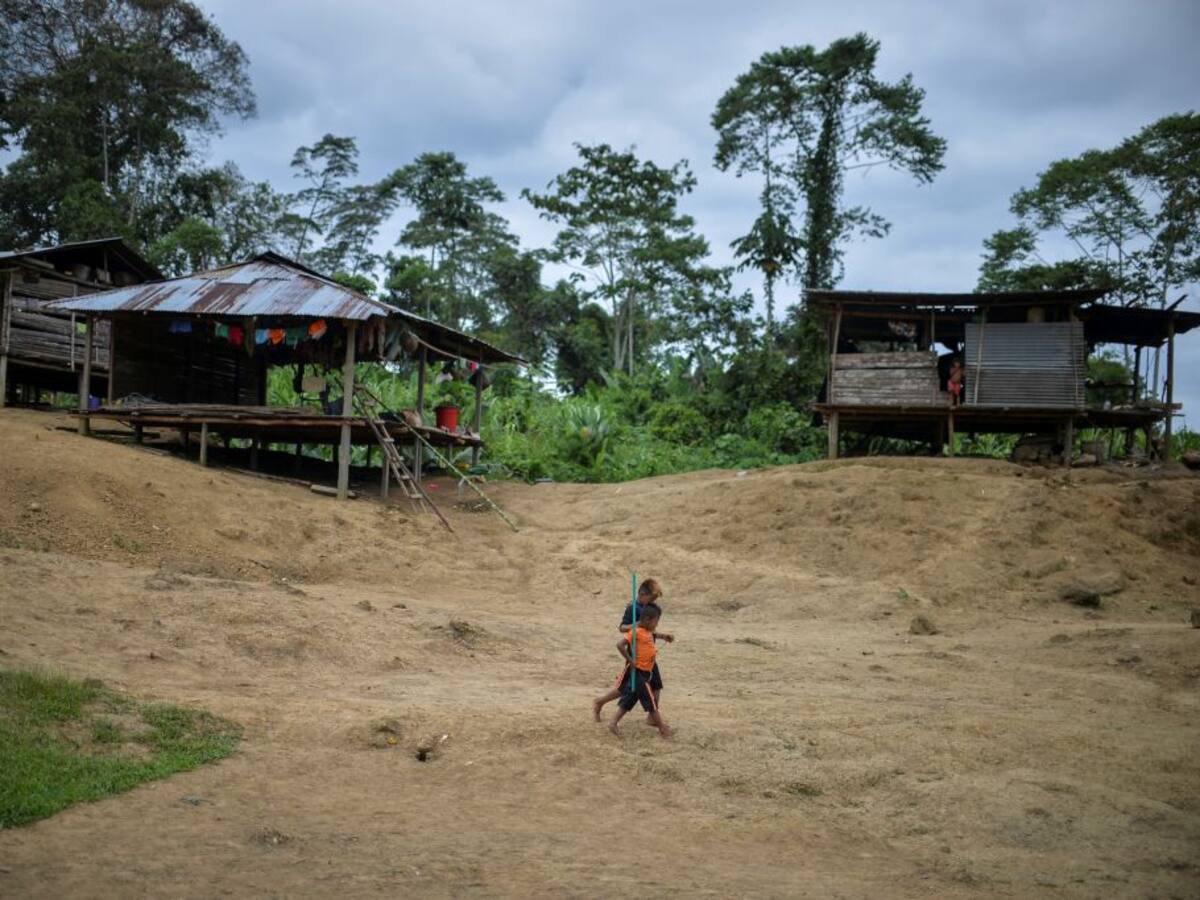 Fundación sobre niños en Guaviare: “les dan bóxer cuando ya no aguantan el hambre”