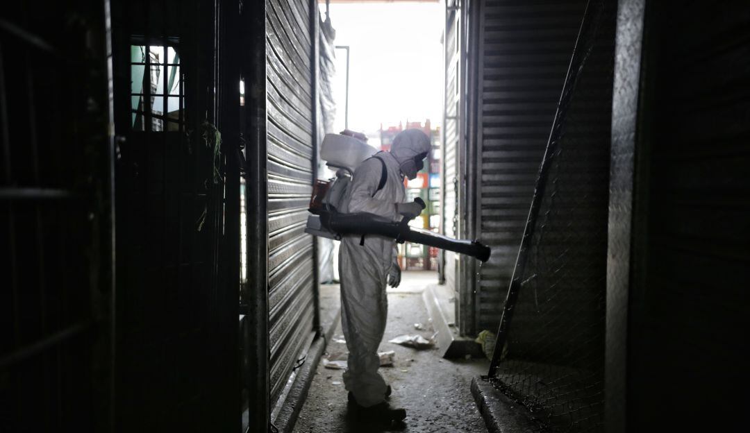 Imagen de referencia