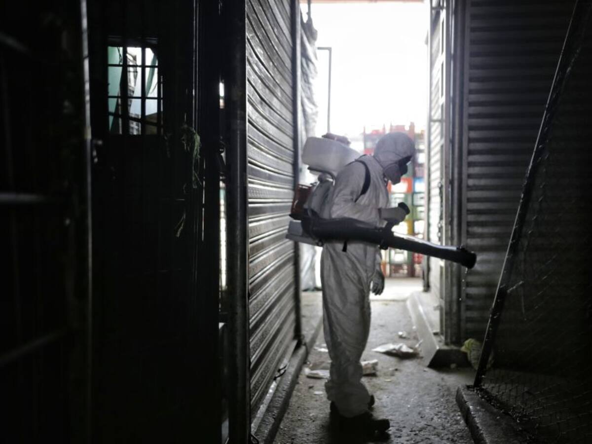 Ienescrupulosos estarían cobrando por fumigacion a nombre de la alcaldia