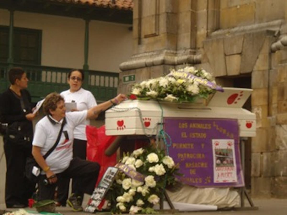 Proponen foro para conciliar posiciones sobre centro de zoonosis